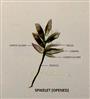  Spikelet